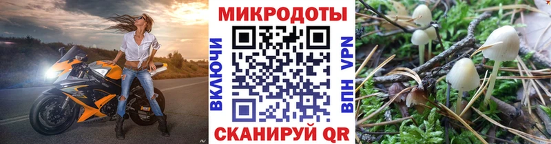 hydra вход  Кумертау  Псилоцибиновые грибы прущие грибы 
